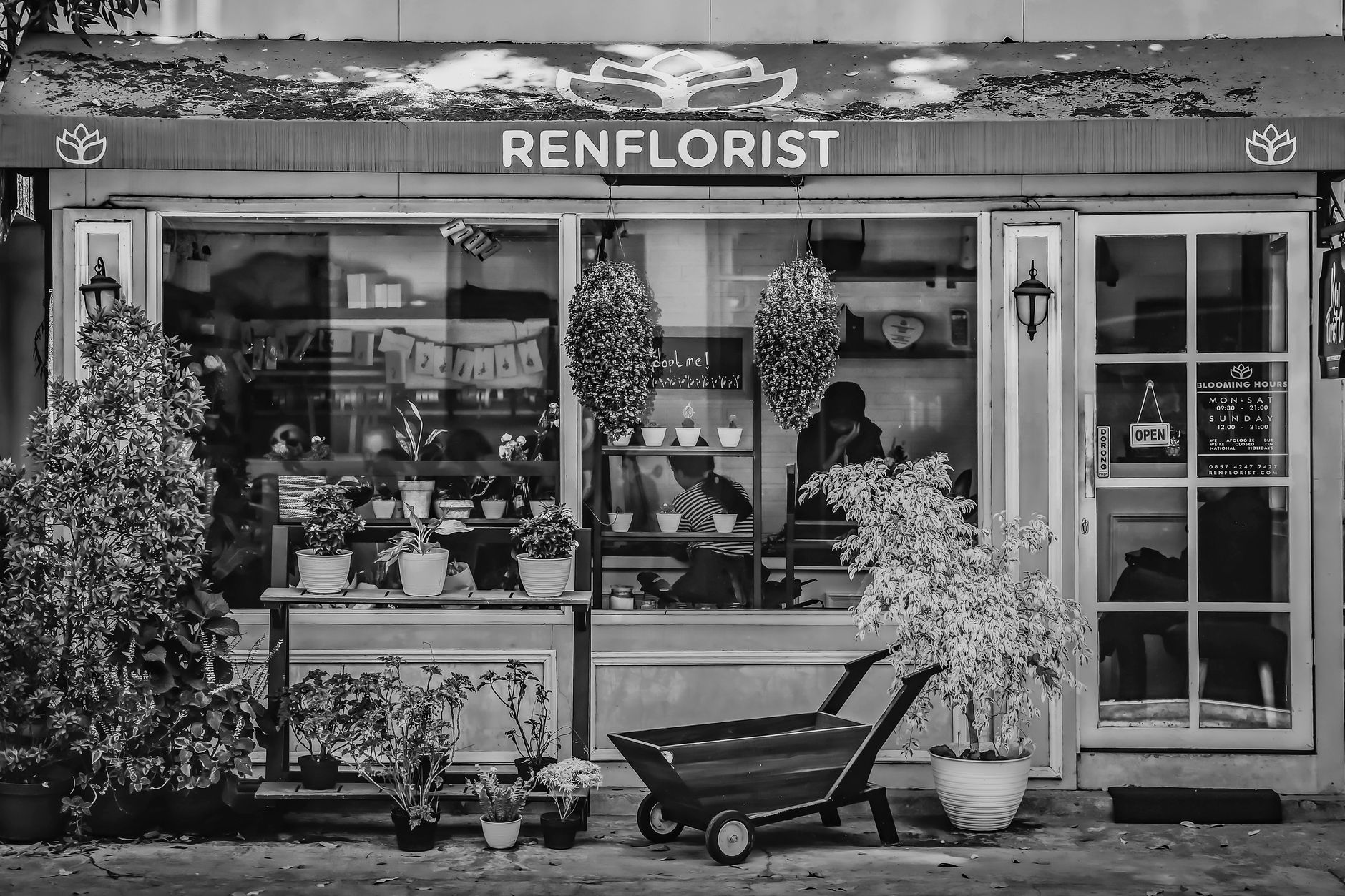 Fleuriste Saint-Malo